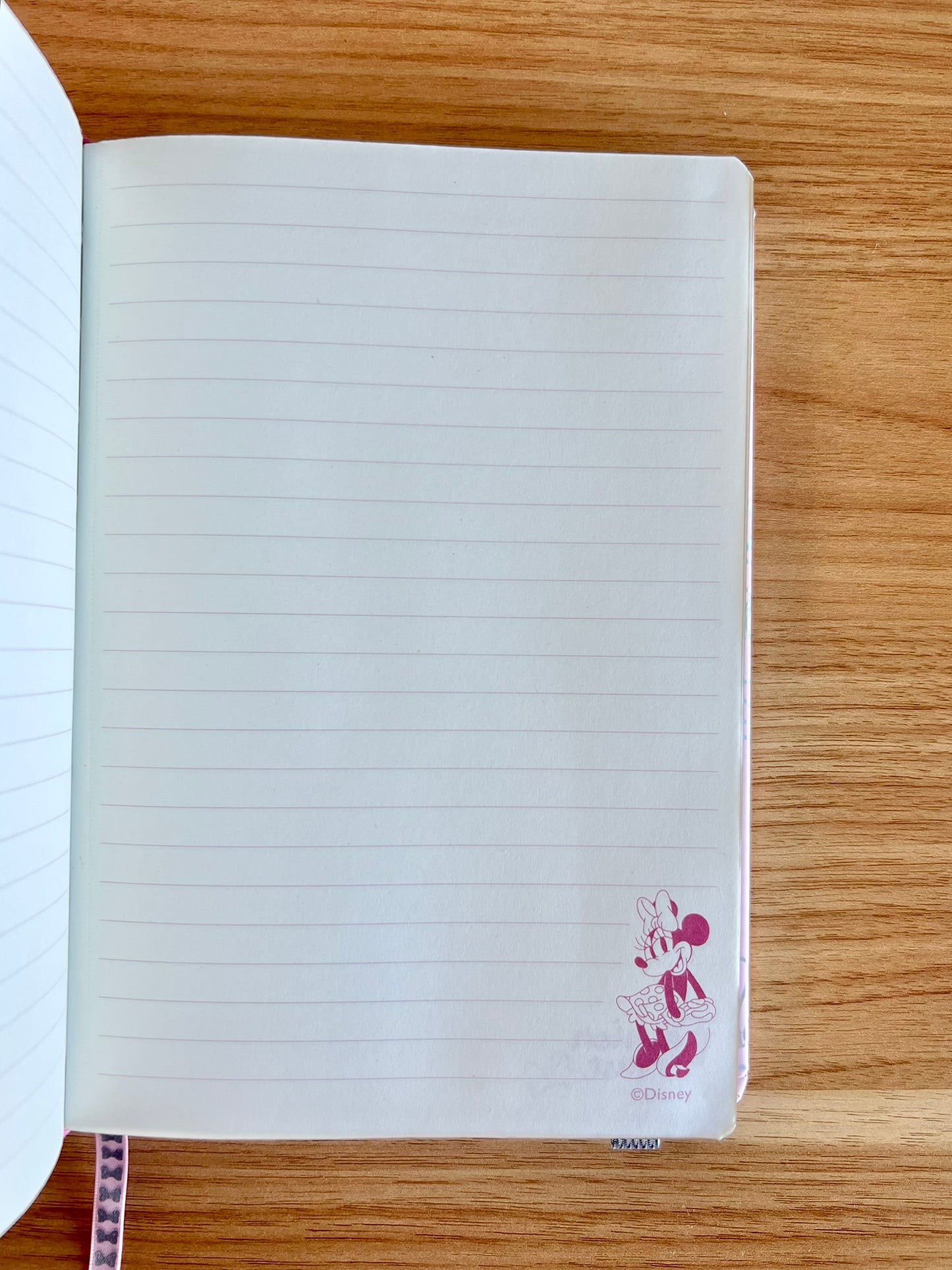 Cuaderno Minnie