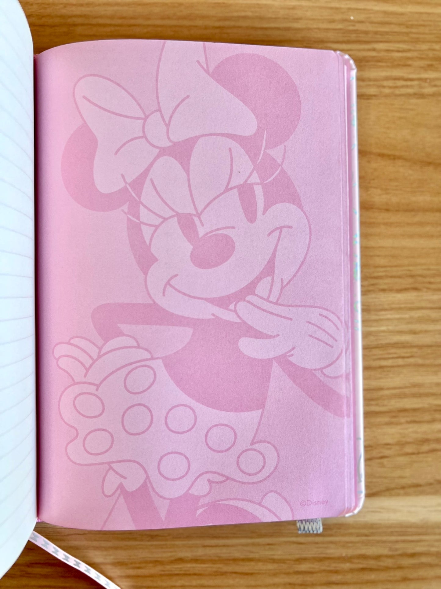 Cuaderno Minnie