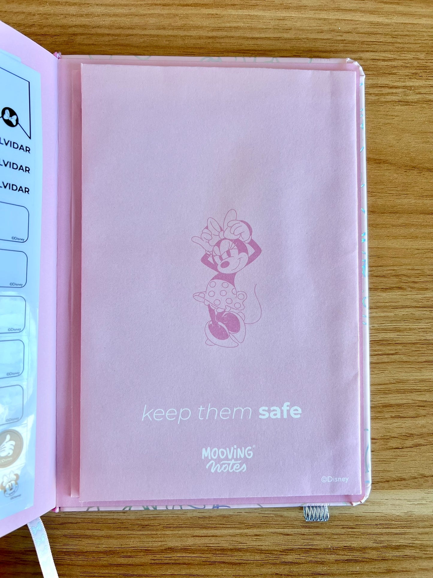 Cuaderno Minnie