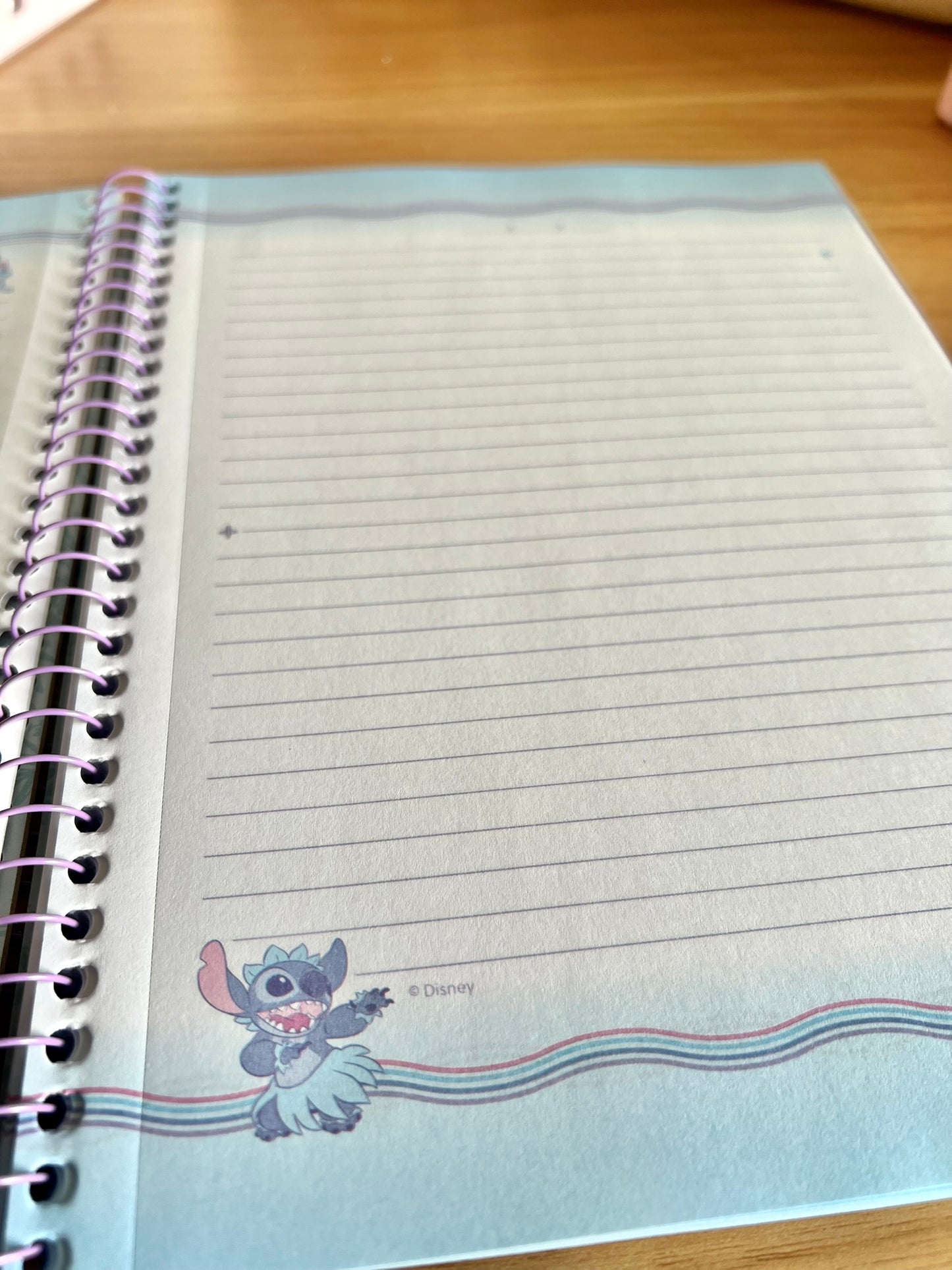 Cuaderno Stitch