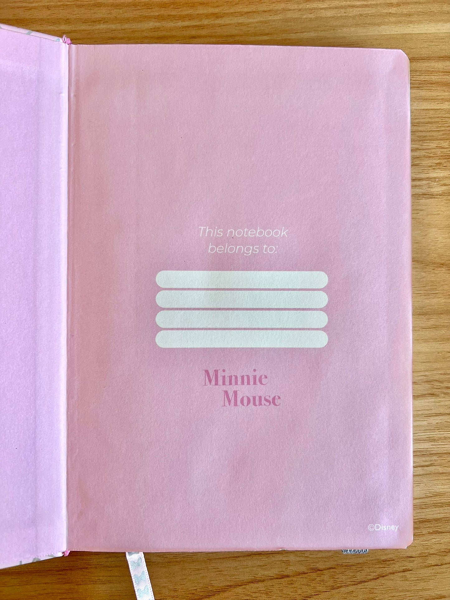 Cuaderno Minnie
